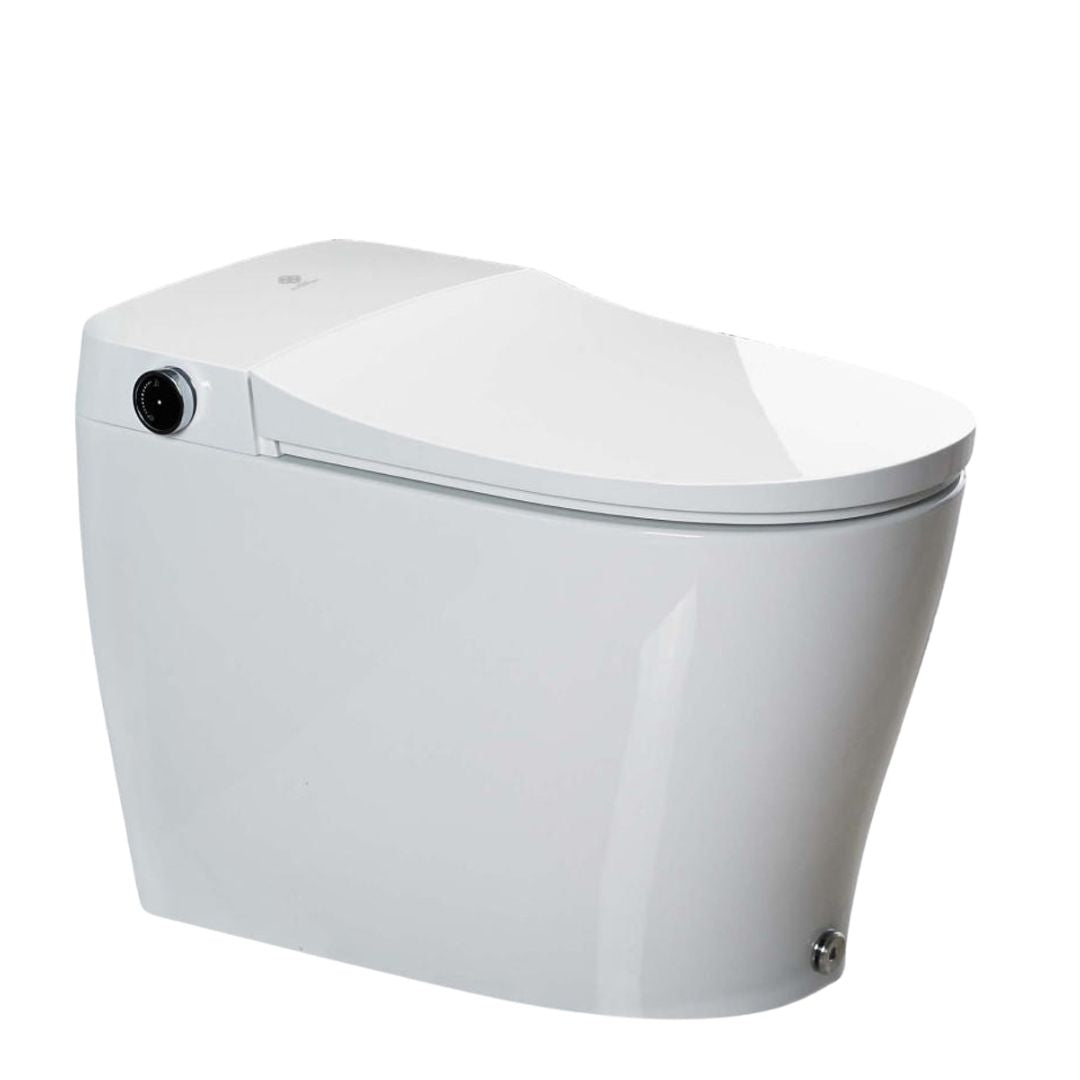 Smart Toilets