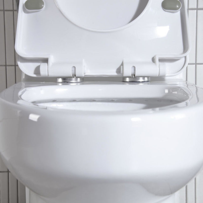 Pearl Kato Kimi Elongated Chair Height 1-Piece 4.8L Side Flush Toilet with Soft Close Seat - GKT813