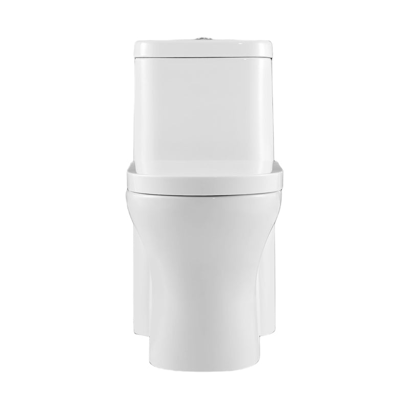 Neptune Florence 4.1/6L Dual Flush Elongated One-Piece Toilet in White – 220181-000-264-000