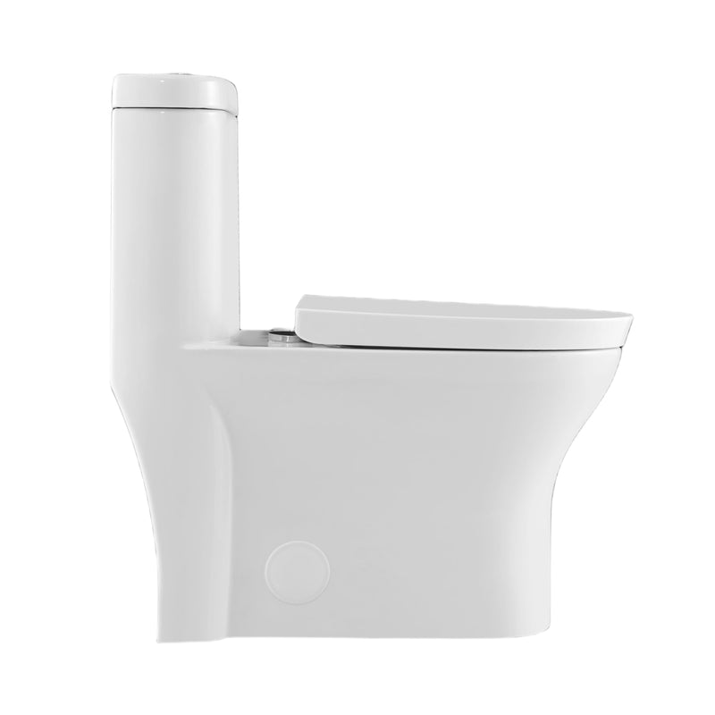 Neptune Florence 4.1/6L Dual Flush Elongated One-Piece Toilet in White – 220181-000-264-000