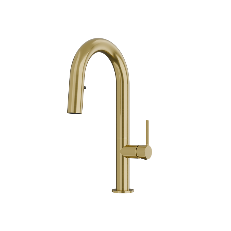 Rubi Carino Hidden Pull Down Dual Spray Bar & Prep Faucet Brushed Gold – RCAR81D2OR