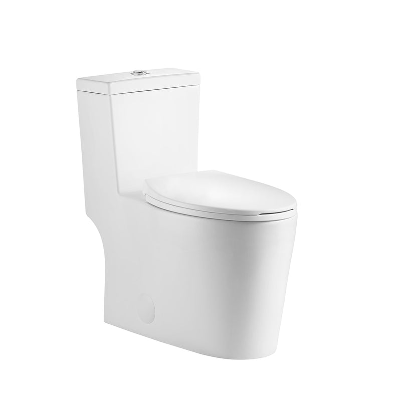 Neptune Prague 4.1/6L Dual Flush Elongated One-Piece Toilet in White – 220182-000-264-000