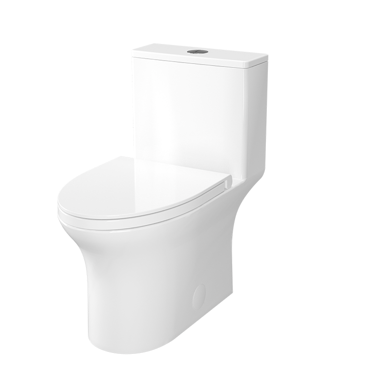 Rubi Elongated 1-Piece 4L/6L Dual Flush Toilet with Soft Close Seat - RCM122BL
