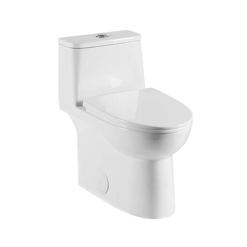 Rubi Elongated Chair Height 1-Piece 4L/6L Dual Flush Toilet with Soft Close Seat  - RTM421BL